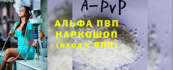 индика Гусев