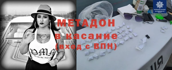 индика Гусев