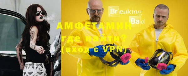 индика Гусев