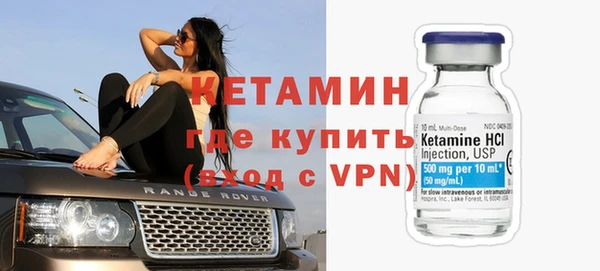 индика Гусев