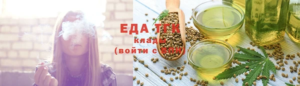 индика Гусев