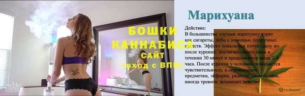 стаф Гусь-Хрустальный