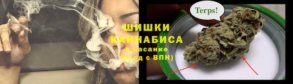 стаф Гусь-Хрустальный