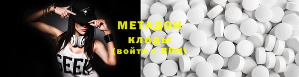 индика Гусев