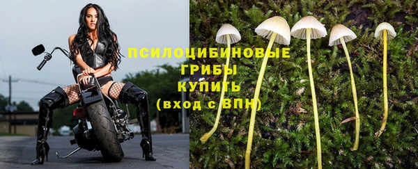 стафф Гусиноозёрск