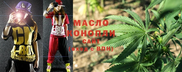 индика Гусев