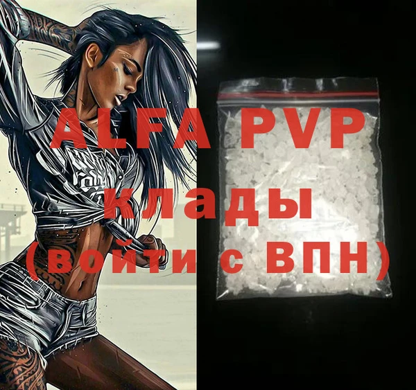 стаф Гусь-Хрустальный