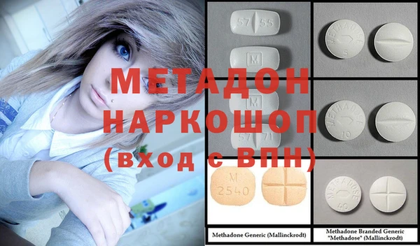 индика Гусев