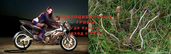 трава Всеволожск