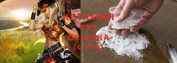 индика Гусев