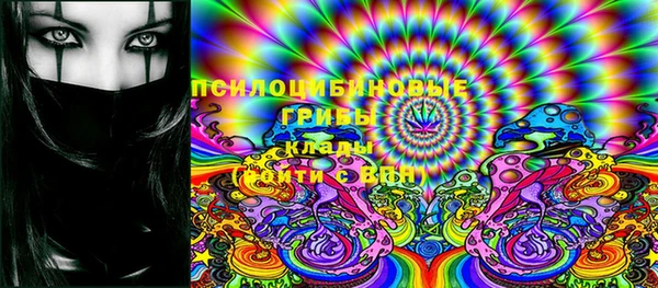 индика Гусев