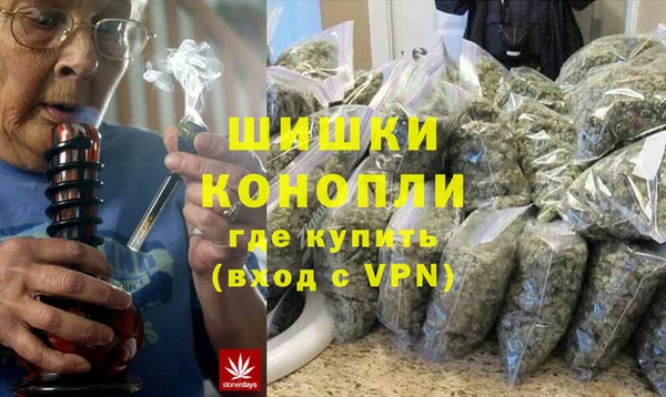 индика Гусев