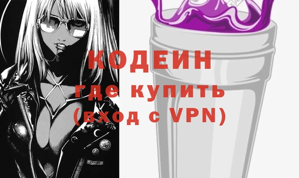 индика Гусев