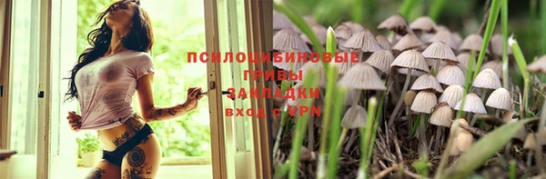 стаф Гусь-Хрустальный