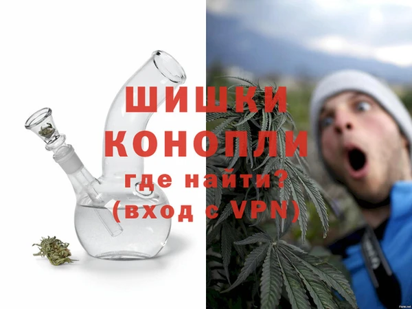 индика Гусев