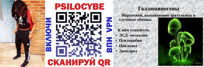 shop клад  МЕГА ссылки  Псилоцибиновые грибы Psilocybe  Дятьково  цены  